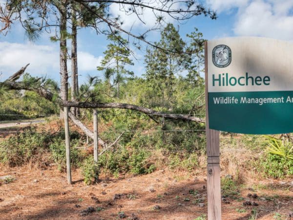 OLH_Orlando_Lakealfred_Pic_Hilocheewildlifemanagementarea_Photoshoot